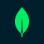 javaScript Icon